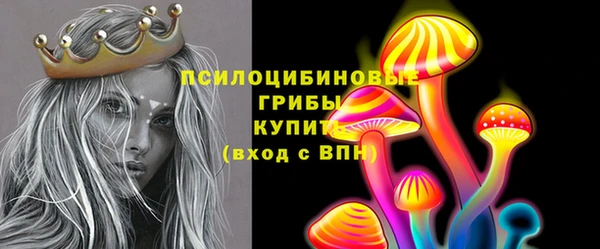 ГАЛЛЮЦИНОГЕННЫЕ ГРИБЫ Абинск